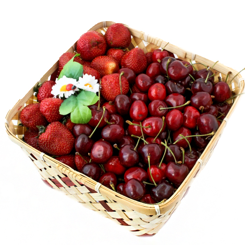 в Скоропусковому