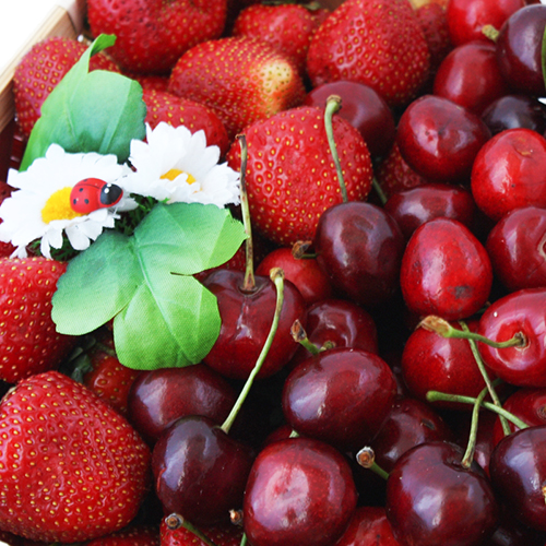  в Скоропусковому