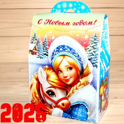 Детский новогодний подарок 2026 в Скоропусковому