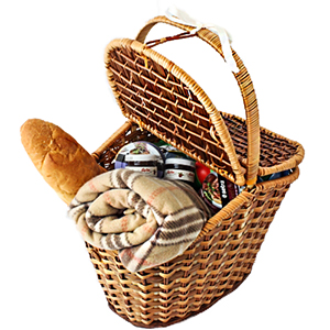 Корзина для прогулки в Скоропусковому