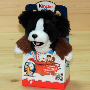  в Скоропусковому